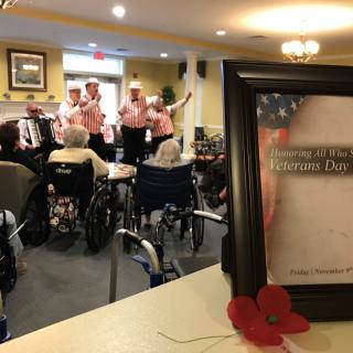A Veterans Day celebration at a nursing home featuring a musical performance for the residents.