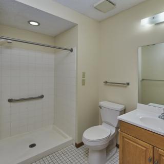 A bathroom featuring a walk-in shower with handrails, a toilet, and a sink with a mirror above.