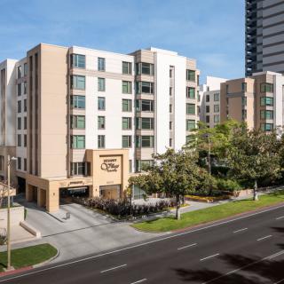 A modern hotel building situated in an urban environment with surrounding trees and a main road.