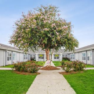 A courtyard with a central tree and surrounding pathway amid residential buildings.