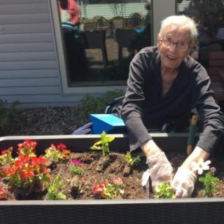 An elderly person happily gardening and planting flowers on a sunny day.