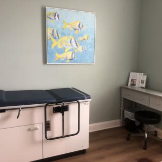 A clean and well-organized medical examination room with a painting on the wall.