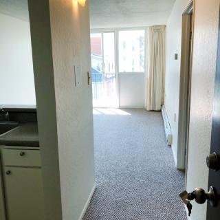 A view of an apartment hallway with carpeted flooring and natural light coming from a window at the end.