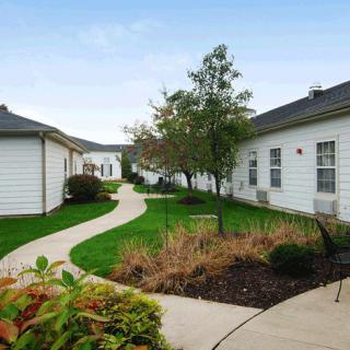 A beautifully landscaped garden with a winding pathway between two buildings.