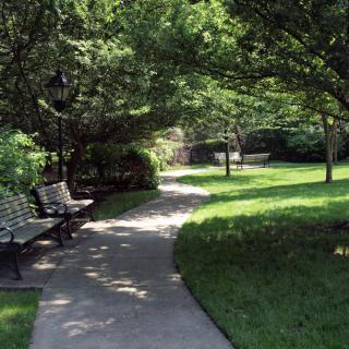 A serene park pathway surrounded by lush greenery and shaded benches.