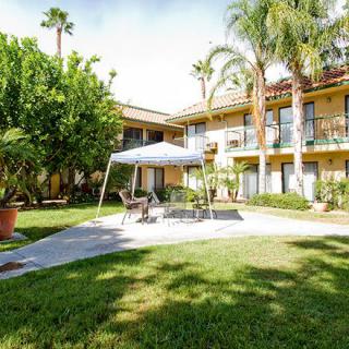 A sunny hotel courtyard with palm trees and outdoor seating.