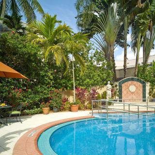 A tranquil outdoor swimming pool surrounded by lush tropical plants and palm trees.