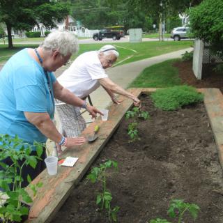 People engaged in community gardening activity.