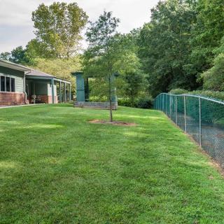 A well-maintained backyard with a lush green lawn, surrounded by trees and a chain-link fence adjacent to a house.