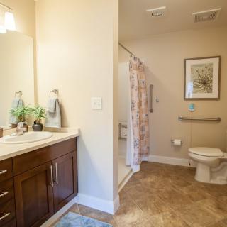 A well-lit bathroom with a wooden vanity, sink, mirror, and a shower area with a curtain.