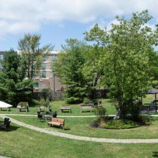 A peaceful park with benches, trees, and a winding pathway on a sunny day.