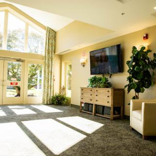 A bright and inviting lobby area featuring natural light, modern furniture, and lush greenery.