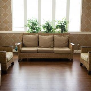 A cozy living room with a sofa, armchairs, and plants by the window.