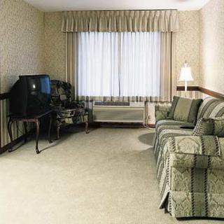 A cozy living room featuring a sofa, television set, and bright window.