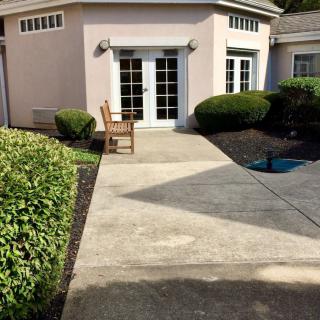 A sunny patio with a chair and pathway leading to glass doors surrounded by bushes.