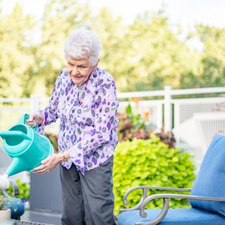 An elderly woman waters plants on a sunny day.