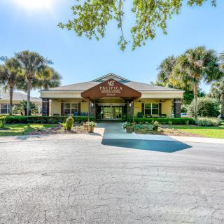 A sunny day view of a building entrance surrounded by palm trees and landscaped greenery.