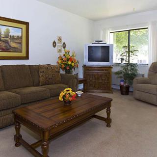A cozy living room with a sofa, armchair, and wooden coffee table, featuring a TV and decorative items.