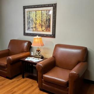 A cozy corner featuring two brown leather armchairs, a lamp, and a nature painting.