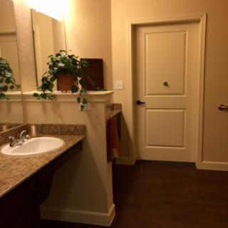 A cozy bathroom with a sink, mirror, and decorative plant.