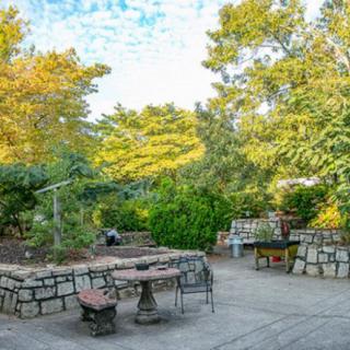 A tranquil garden with a stone patio and outdoor seating, surrounded by lush greenery.