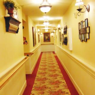 A warmly lit hallway with decorative wall art and a patterned carpet.