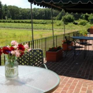 A scenic outdoor terrace with tables, chairs, and a vase of flowers under a canopy overlooking green fields.