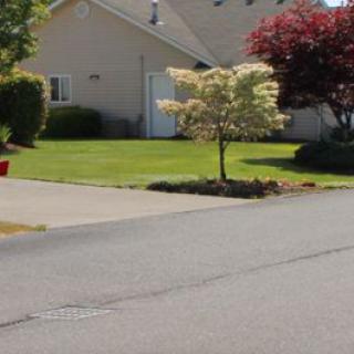 A suburban house with a well-maintained lawn and trees, viewed from across the street on a sunny day.