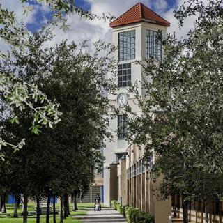 A tall building with a tower and a pathway lined with trees.