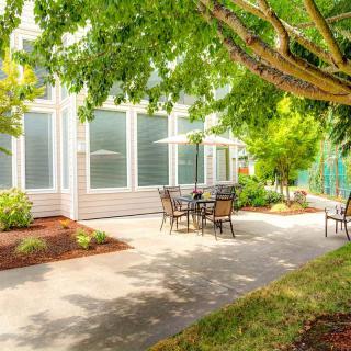 A sunny patio area with chairs and tables surrounded by greenery.