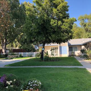A charming residential area featuring a well-kept lawn, a large tree, and a cozy house under a clear blue sky.