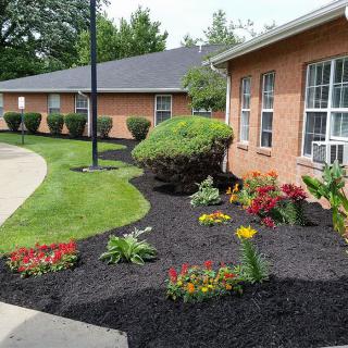 A landscaped garden with colorful flowers and mulch in front of a brick building.