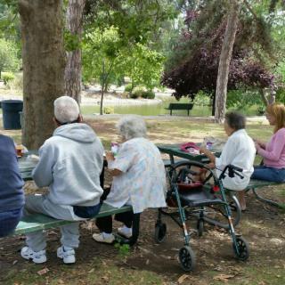 A group of seniors enjoying a picnic in a park, surrounded by trees.