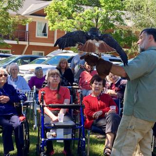 A falconer presents a bird demonstration to an outdoor audience.