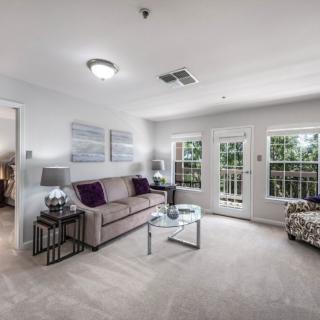 A modern living room with a sofa, coffee table, and large windows providing natural light.