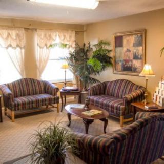 A cozy living room with striped sofas and indoor plants.