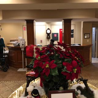 A cozy reception area beautifully decorated with holiday poinsettias, creating a warm festive ambiance.