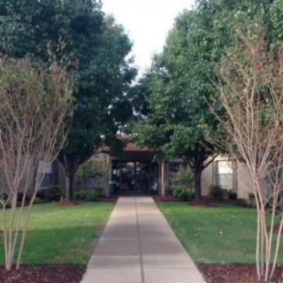 A pathway lined with trees leading to a building entrance.