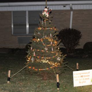 A unique outdoor Christmas tree decorated with lights, showcasing festive creativity.