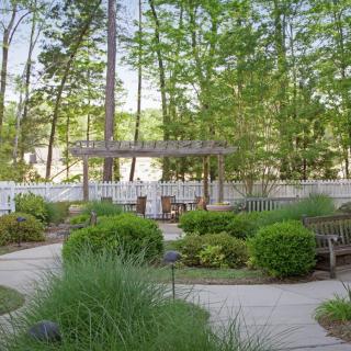 A serene garden with lush greenery, a winding pathway, and a wooden pergola.
