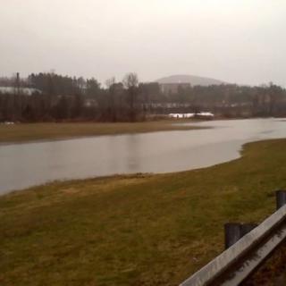 A serene river view under an overcast sky, with lush grass and distant trees.