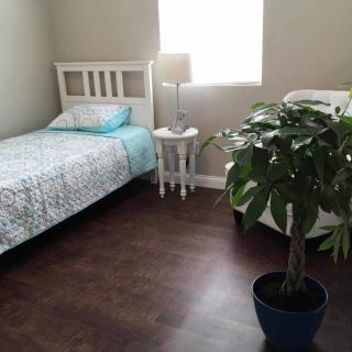 A minimalist bedroom with a single bed, potted plant, and a small nightstand beside a lamp.