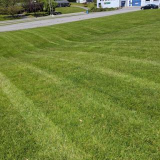 A beautifully manicured lawn with neat grass stripes.