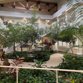 A spacious indoor atrium filled with lush greenery and various plants.