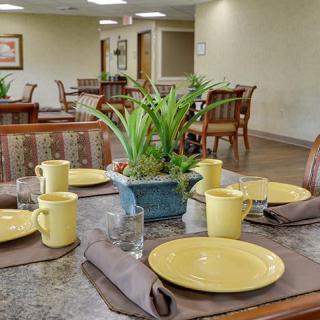 A dining table set with yellow plates, mugs, and a central green plant in an inviting dining room.