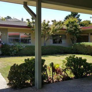 A sunny courtyard with well-maintained greenery and bushes, framed by a building.