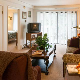 A cozy living room with comfortable seating, a TV on a stand, and a coffee table adorned with plants.