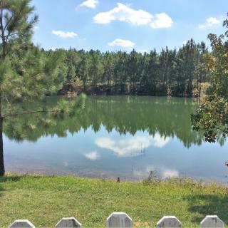A serene lake reflecting the surrounding forest and blue sky.