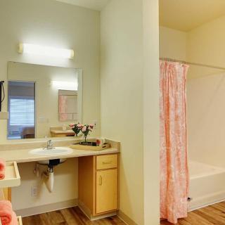 A bathroom featuring a sink with a mirror above it, wooden cabinetry, and a shower with a pink curtain.