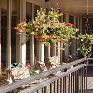 A sunlit balcony with hanging plants and comfortable seating.